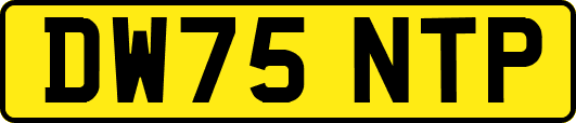 DW75NTP