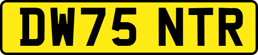DW75NTR