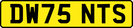 DW75NTS