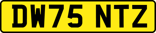 DW75NTZ