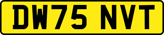 DW75NVT