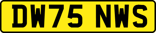 DW75NWS