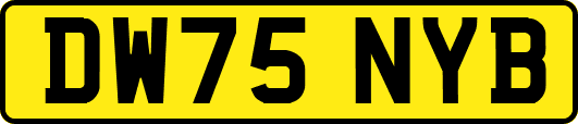DW75NYB