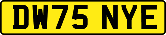 DW75NYE