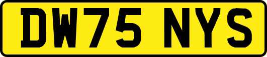 DW75NYS