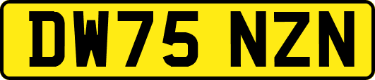 DW75NZN