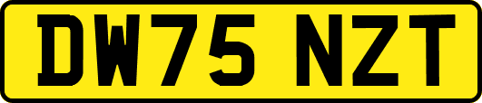 DW75NZT