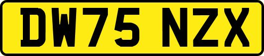 DW75NZX