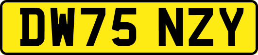 DW75NZY