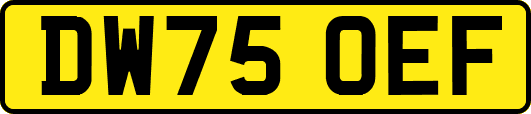 DW75OEF
