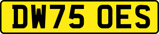 DW75OES
