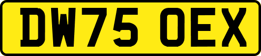 DW75OEX