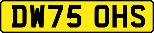 DW75OHS