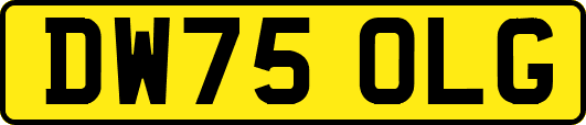 DW75OLG