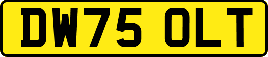DW75OLT