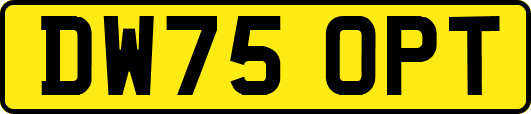 DW75OPT
