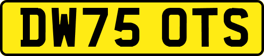 DW75OTS