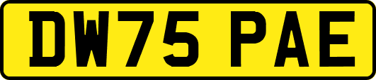 DW75PAE