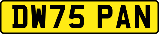 DW75PAN