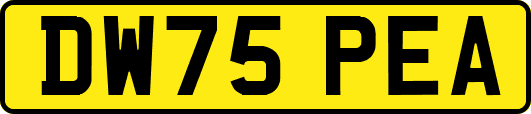 DW75PEA