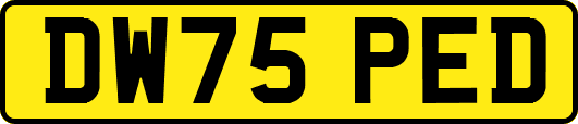 DW75PED