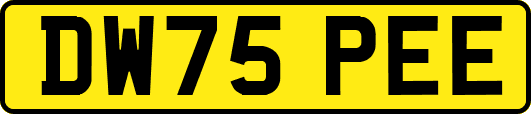DW75PEE