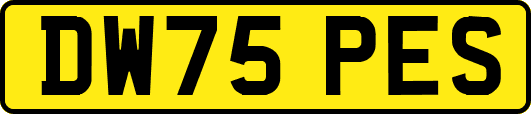 DW75PES