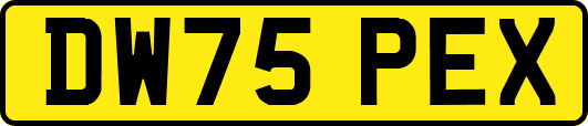 DW75PEX