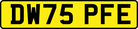 DW75PFE
