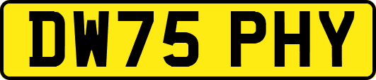 DW75PHY