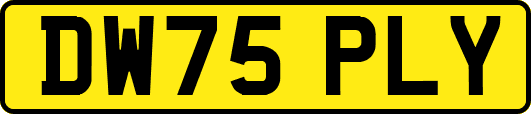 DW75PLY