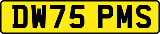DW75PMS