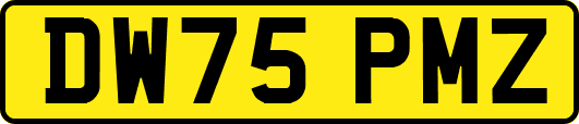 DW75PMZ