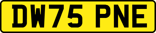 DW75PNE