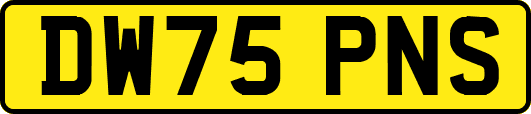DW75PNS