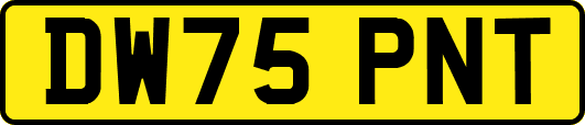 DW75PNT