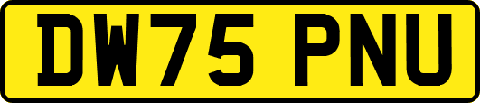DW75PNU