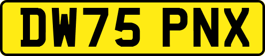DW75PNX