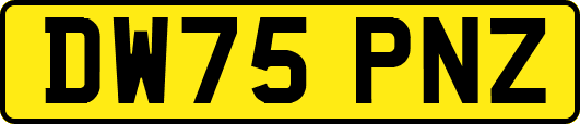 DW75PNZ