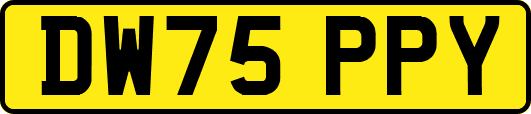 DW75PPY