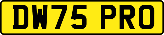 DW75PRO