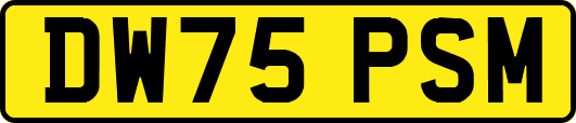 DW75PSM