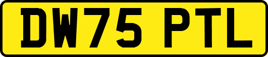 DW75PTL