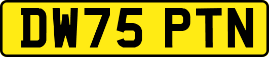 DW75PTN