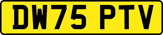 DW75PTV
