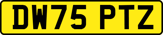 DW75PTZ