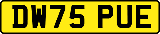 DW75PUE