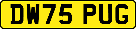 DW75PUG