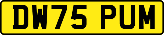 DW75PUM