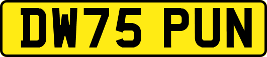DW75PUN